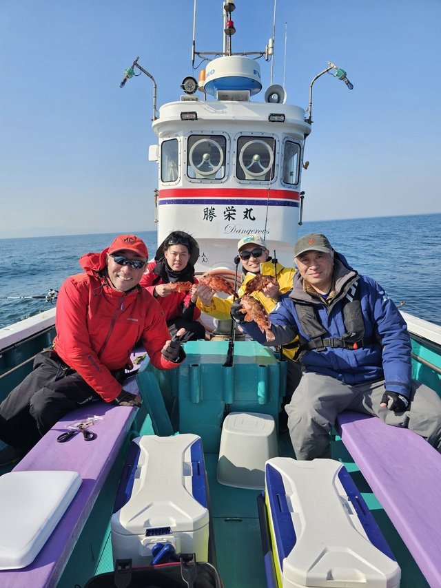 ガシラ(カサゴ)