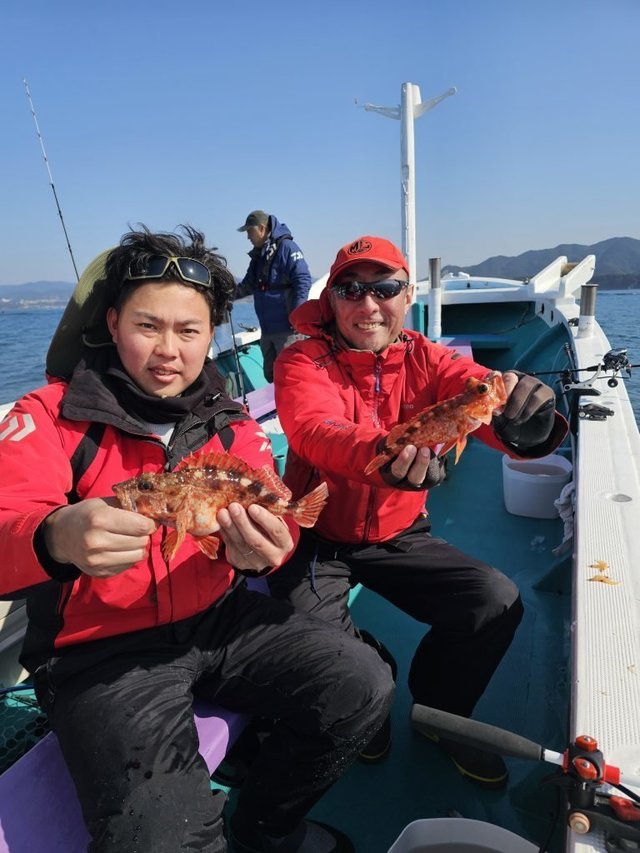 ガシラ(カサゴ)