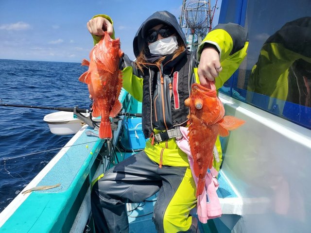 カンコ(ウッカリカサゴ)