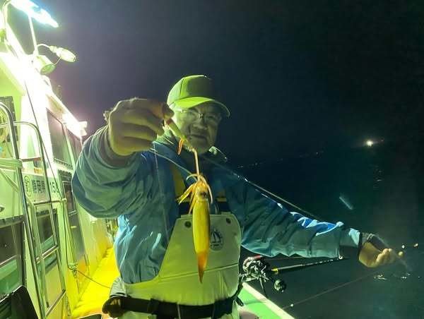 ムギイカ(スルメイカ)