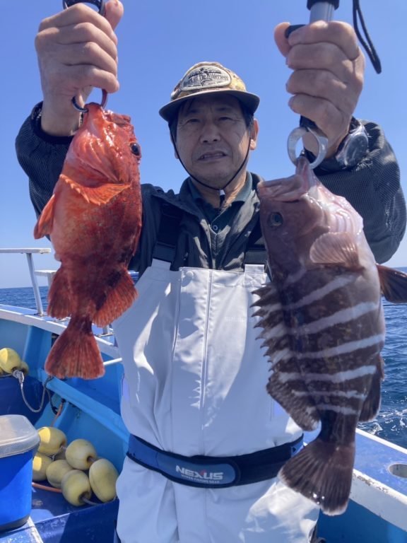 マハタ・カサゴ