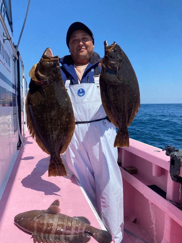 マハタ・ヒラメ