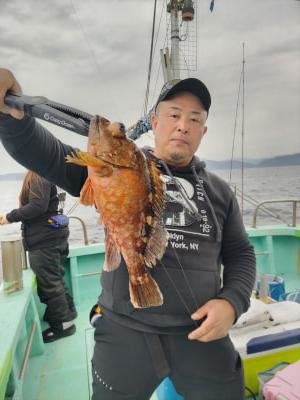 ガシラ(カサゴ)