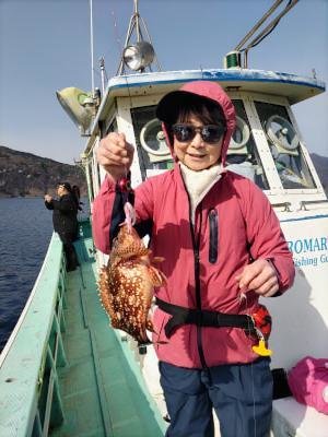 ガシラ(カサゴ)