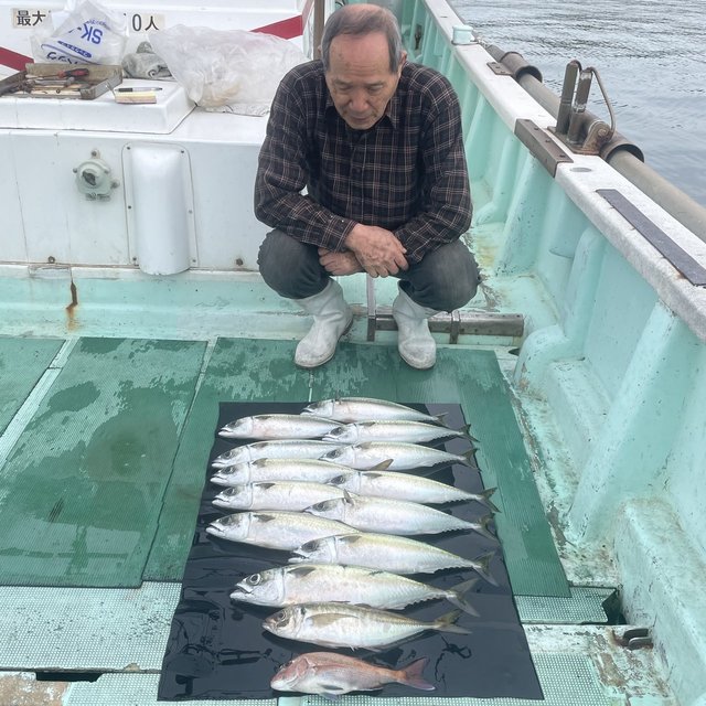 チャリコ(マダイ)・マアジ・マサバ