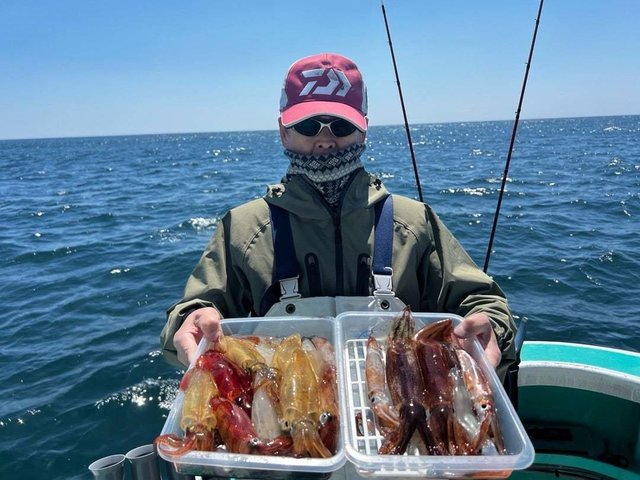 マルイカ(ケンサキイカ)