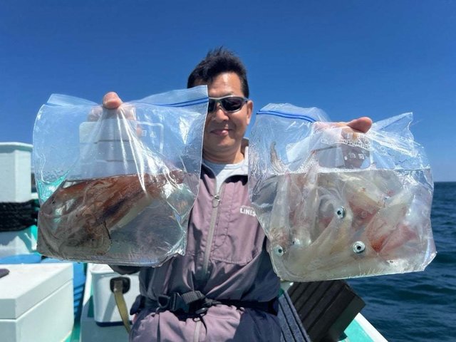 マルイカ(ケンサキイカ)