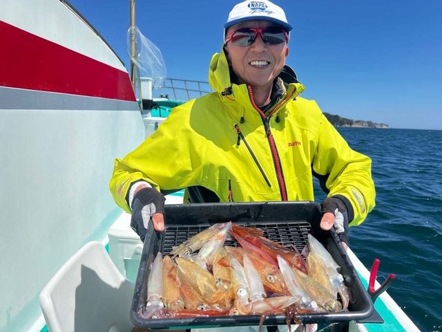 マルイカ(ケンサキイカ)