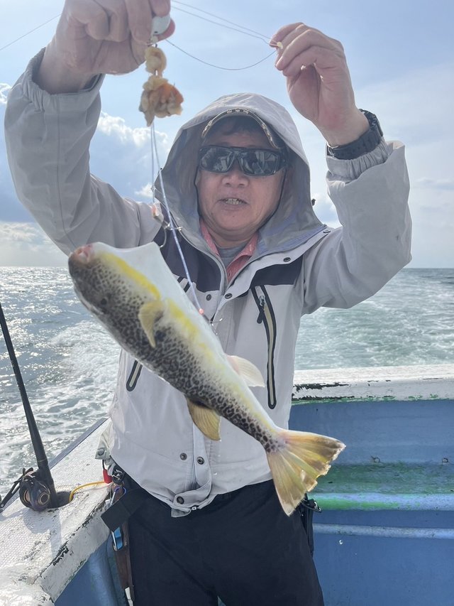 ショウサイフグ