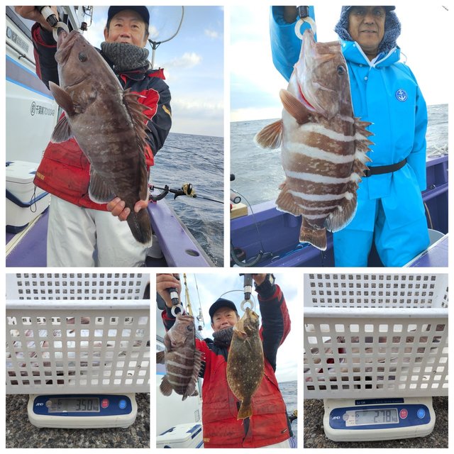 マハタ・ヒラメ