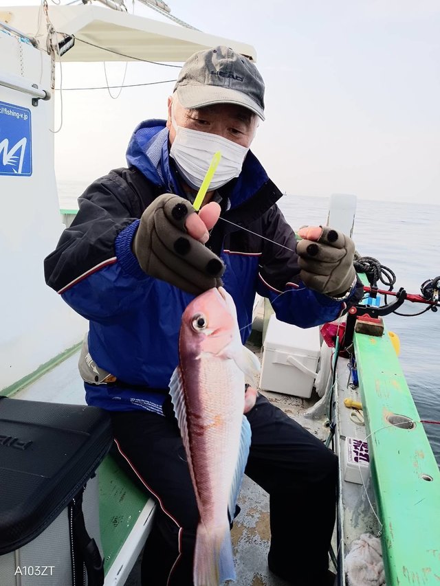 アマダイ(アカアマダイ)