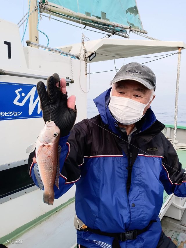 アマダイ(アカアマダイ)