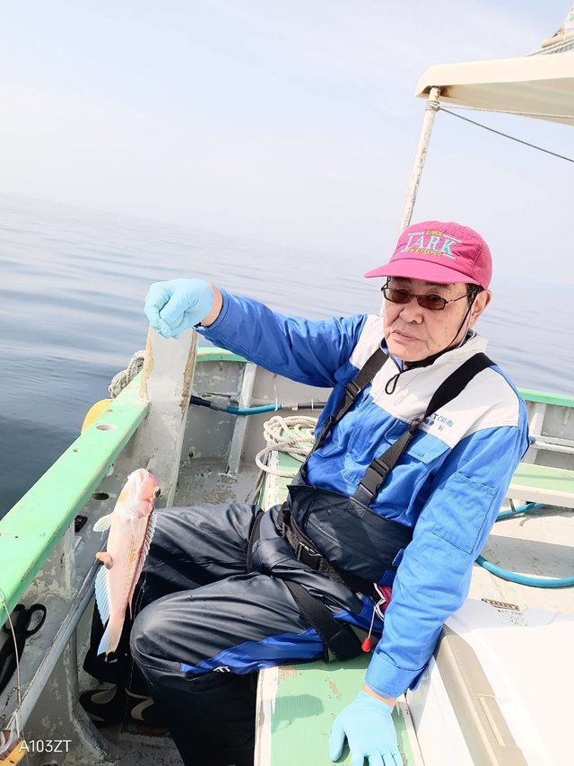 アマダイ(アカアマダイ)