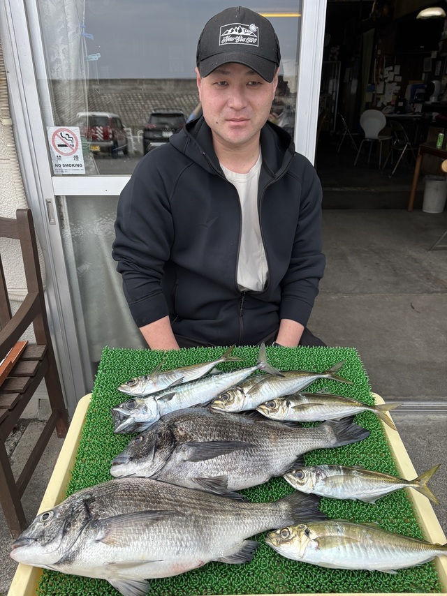 クロダイ・アジ(マアジ)