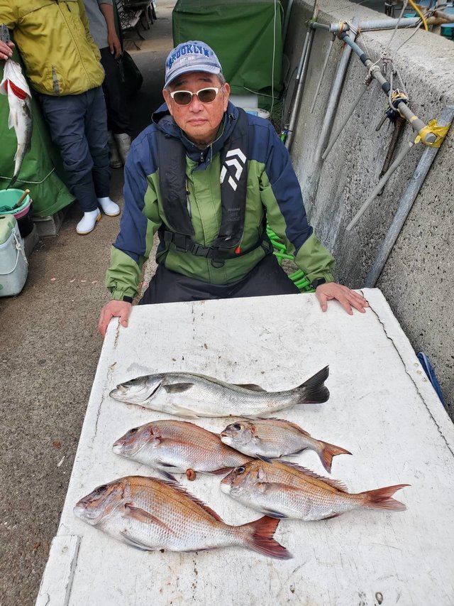 マダイ・スズキ