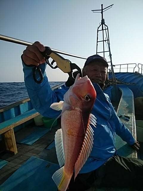 アマダイ(アカアマダイ)