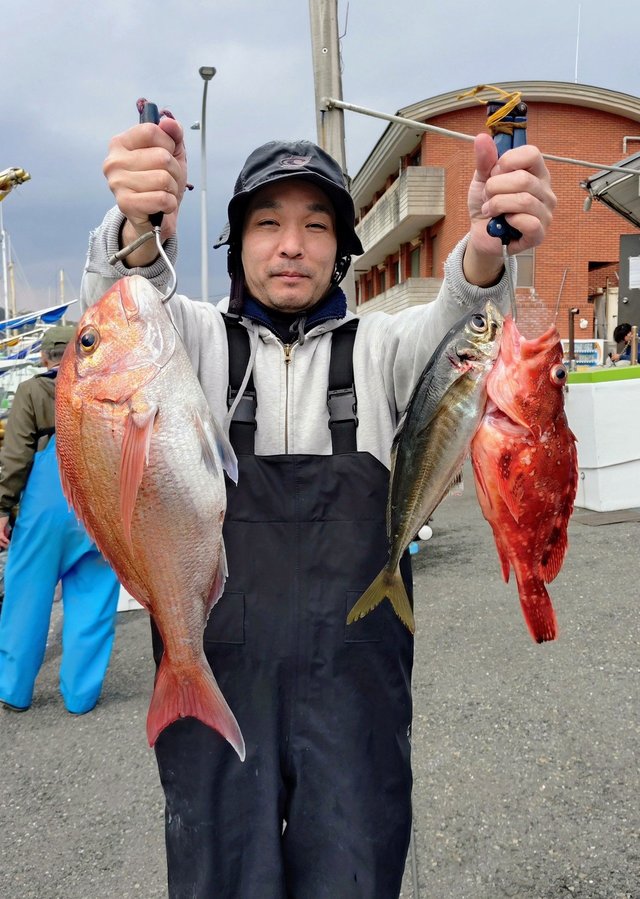 マダイ・カンコ(ウッカリカサゴ)