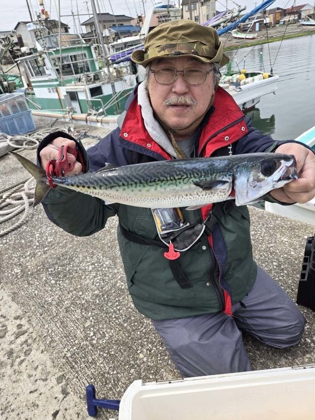 サバ(ゴマサバ)