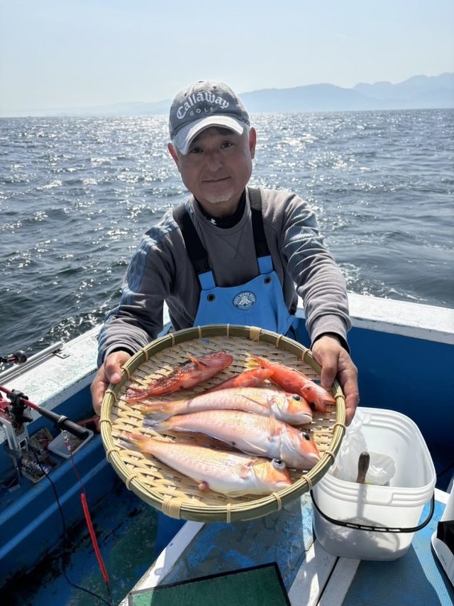 アマダイ(アカアマダイ)