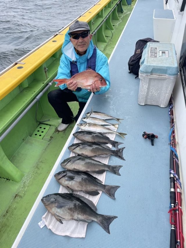 メジナ・アジ(マアジ)