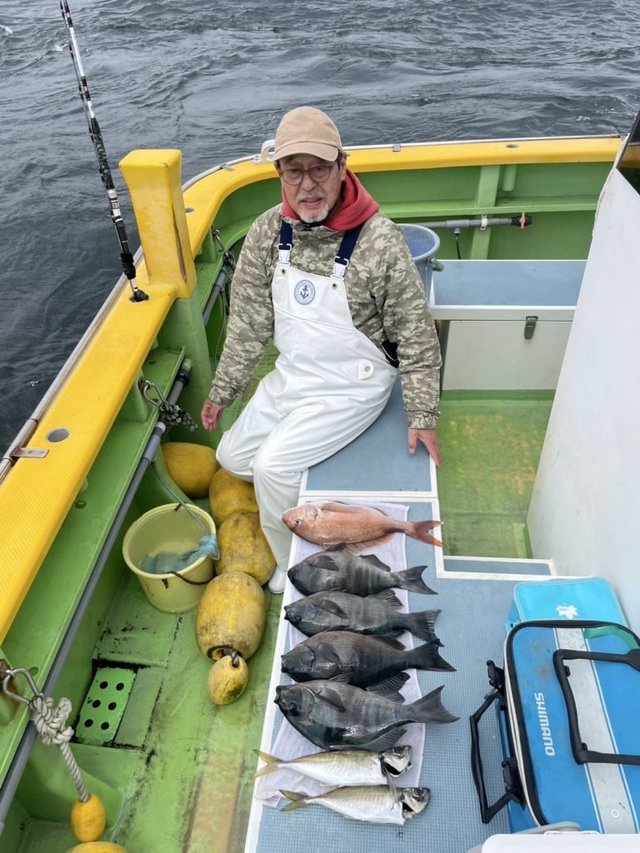 マダイ・メジナ・アジ(マアジ)