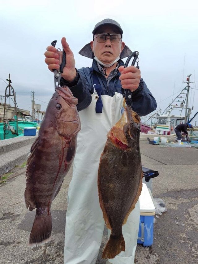 マハタ・ヒラメ