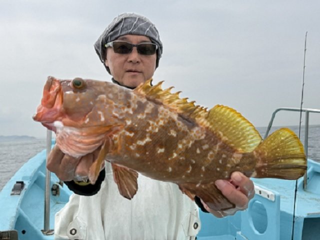 アズキマス(キジハタ)