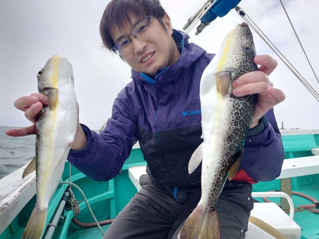 ショウサイフグ