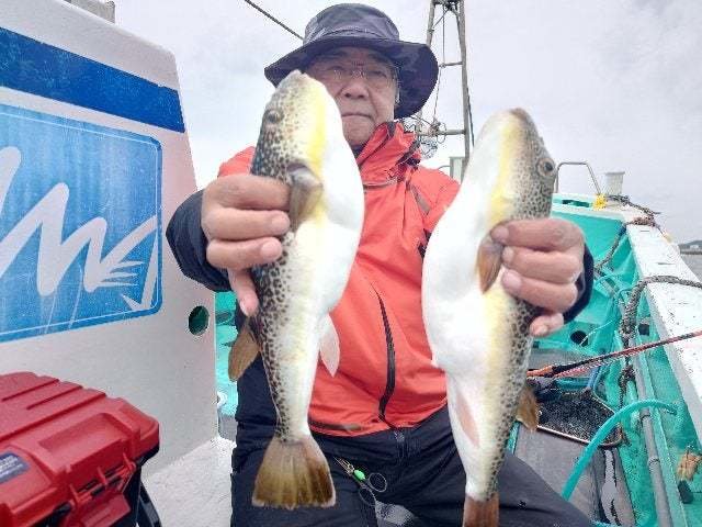 ショウサイフグ