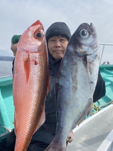 メダイ・ハチビキ