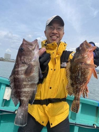 マハタ・ウッカリカサゴ