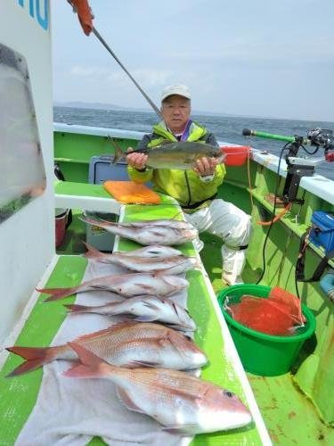 マダイ・カンパチ