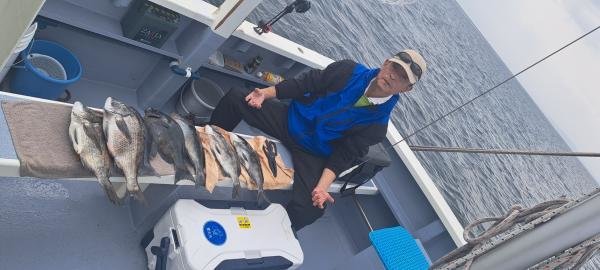 クロダイ・メジナ