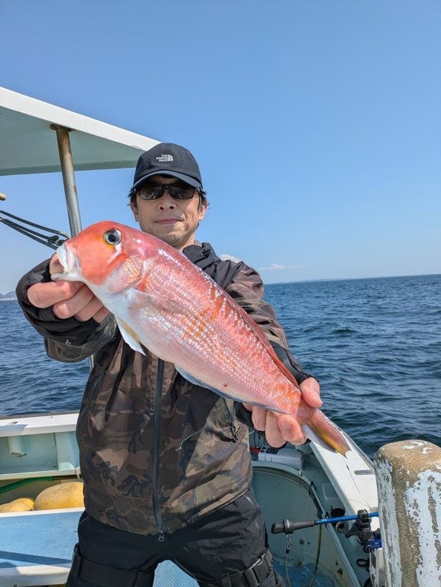 アマダイ(アカアマダイ)