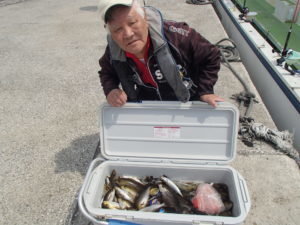 マアジ・イサキ