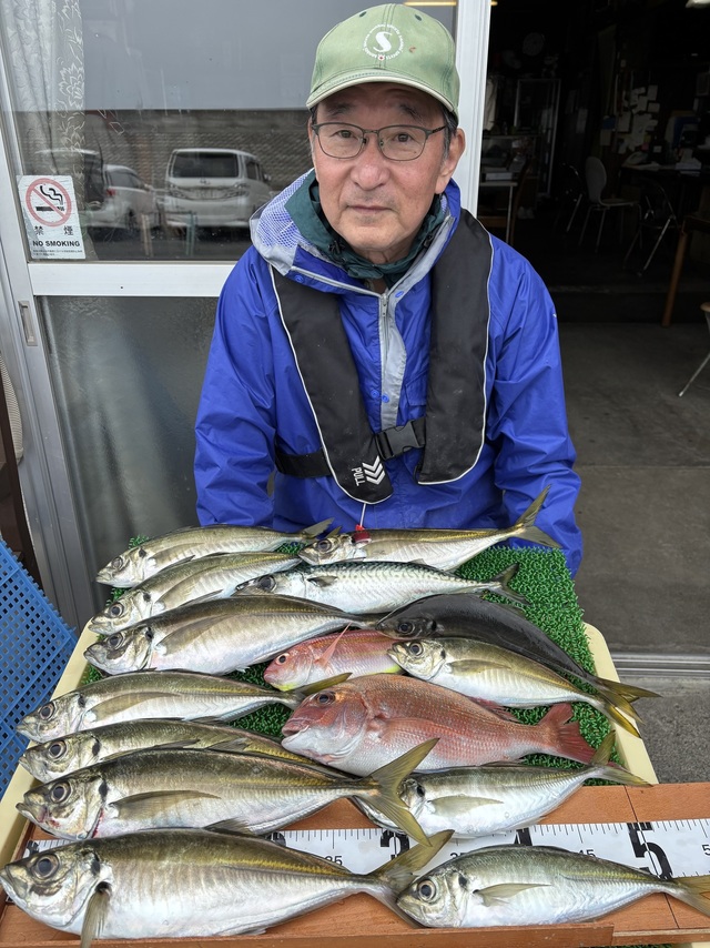 マダイ・アジ(マアジ)