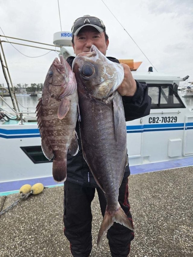 メダイ・ハタ(マハタ)