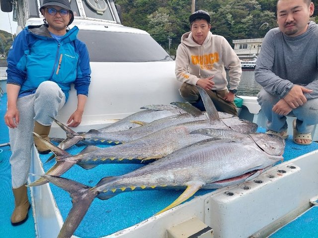 キハダマグロ(キハダ)