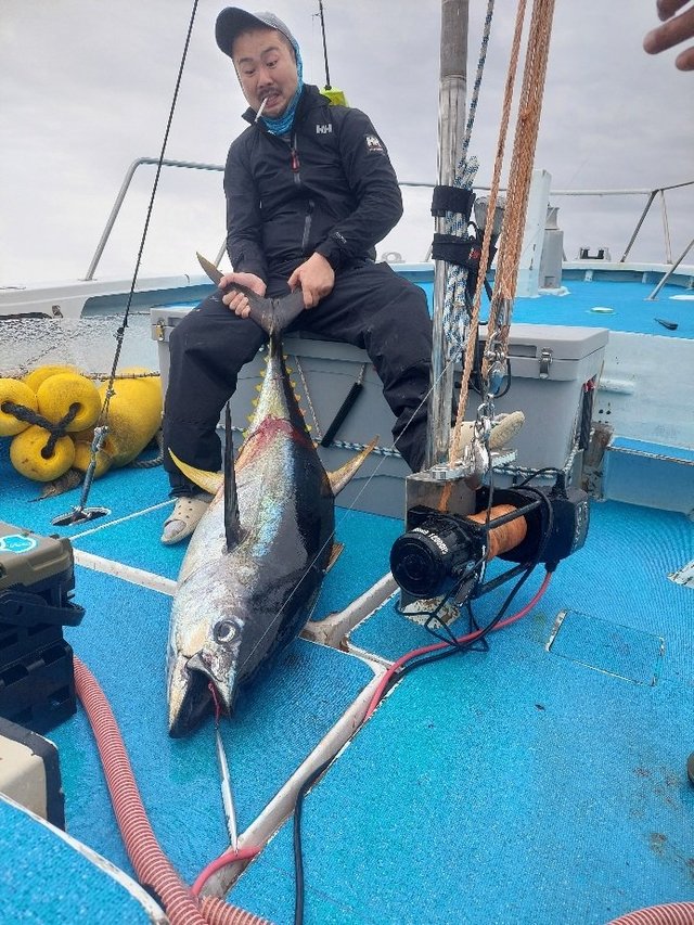 キハダマグロ(キハダ)