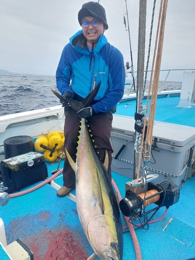 キハダマグロ(キハダ)