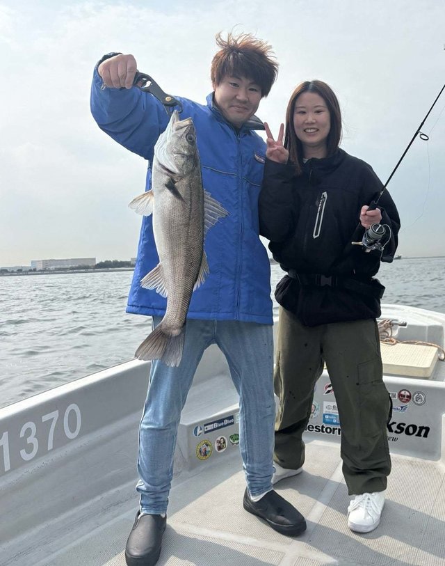 シーバス(スズキ)