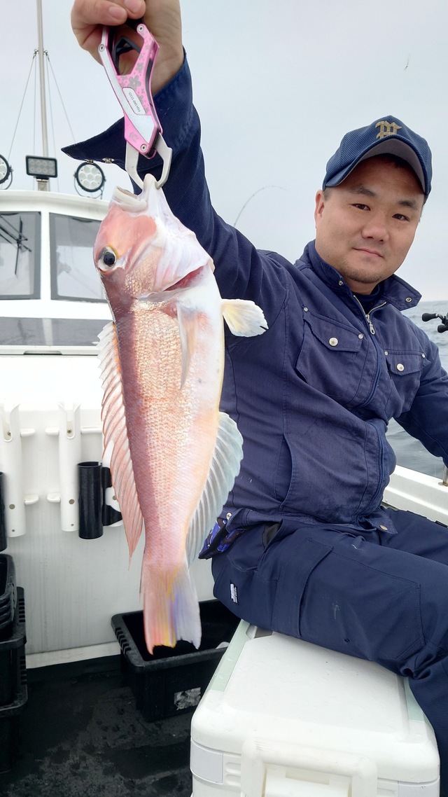 アマダイ(アカアマダイ)