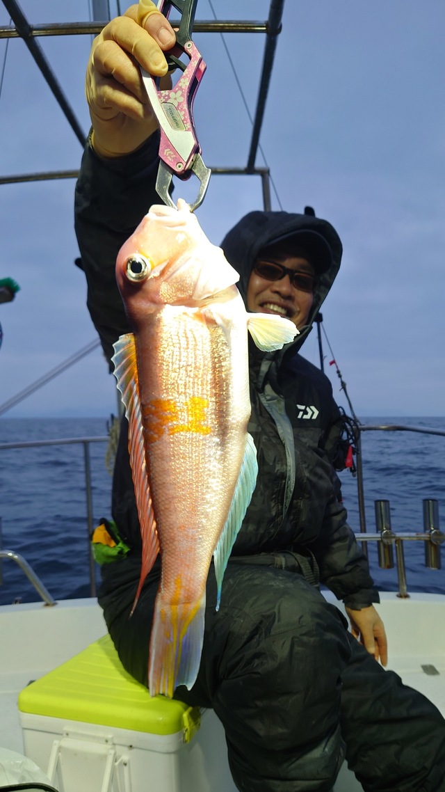 アマダイ(アカアマダイ)