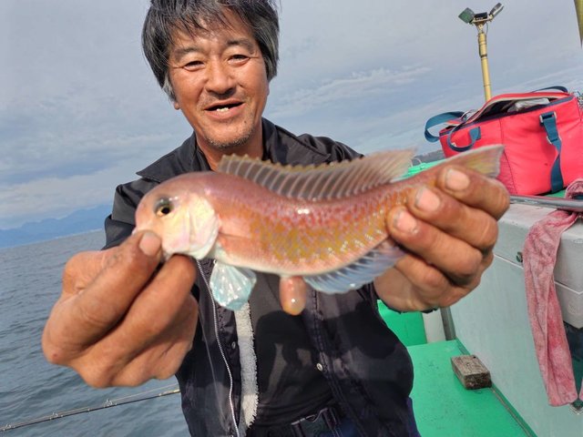 アマダイ(アカアマダイ)