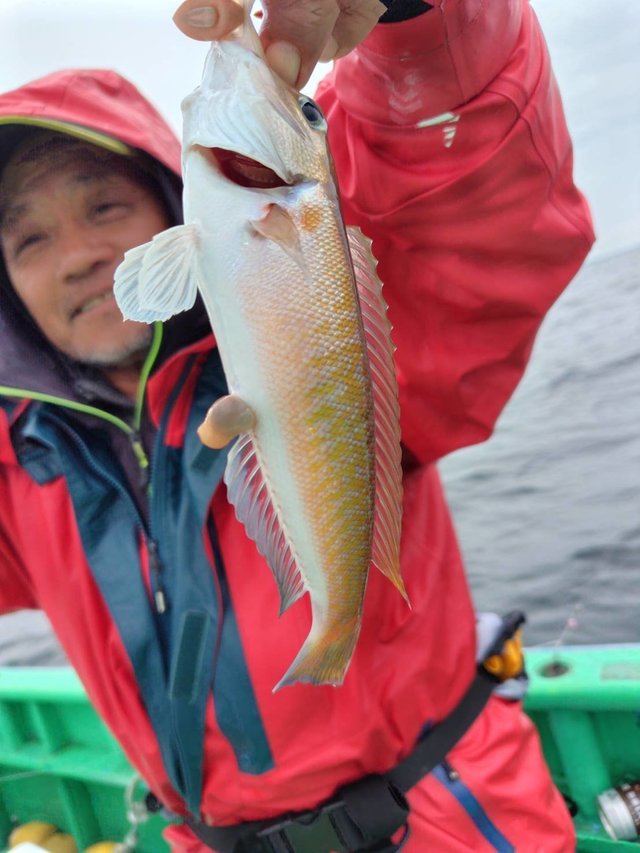 アマダイ(アカアマダイ)