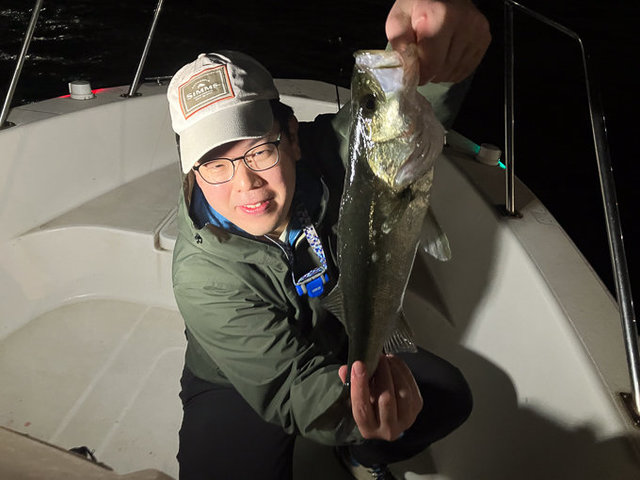 シーバス(スズキ)