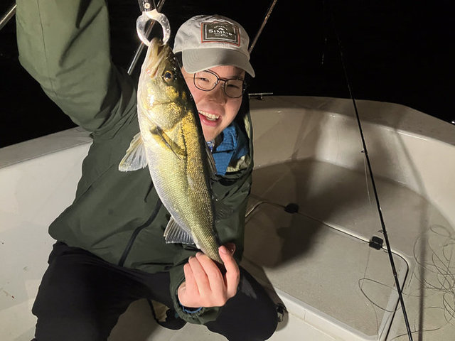 シーバス(スズキ)