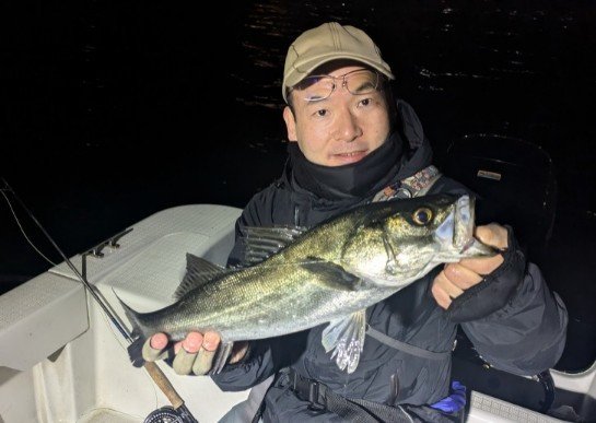 シーバス(スズキ)