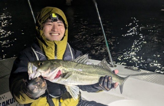 シーバス(スズキ)