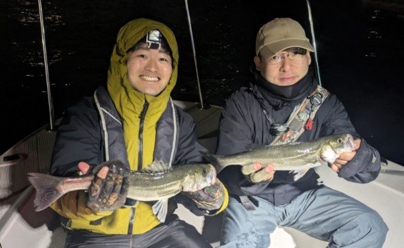 シーバス(スズキ)